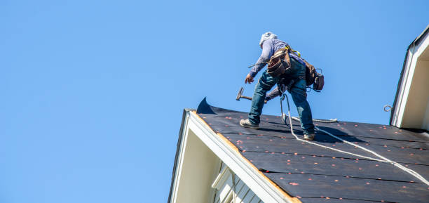 Best Shingle Roofing Installation  in Vanceburg, KY